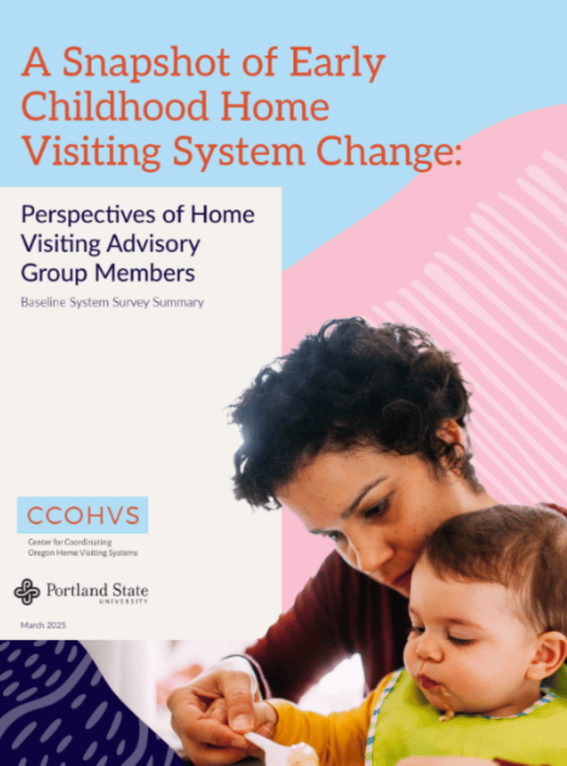 2024 Baseline System Survey Summary