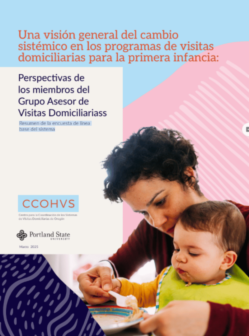 Resumen de la encuesta de línea base del sistema