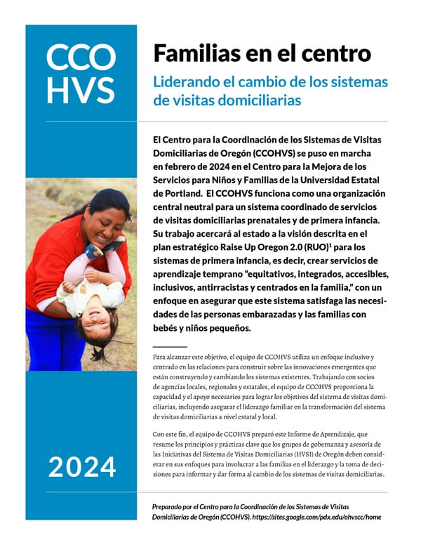 Screenshot of Familias en el centro: Liderando el cambio de los sistemas de visitas domiciliarias (SPANISH) PDF